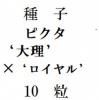 ҡԥǡߡԥƥǡ10γ<img class='new_mark_img2' src='https://img.shop-pro.jp/img/new/icons1.gif' style='border:none;display:inline;margin:0px;padding:0px;width:auto;' />