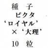 ҡԥƥǡߡԥǡ10γ<img class='new_mark_img2' src='https://img.shop-pro.jp/img/new/icons1.gif' style='border:none;display:inline;margin:0px;padding:0px;width:auto;' />