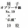 ҡ֥ġӡNo.19ߥ֥ġʩƬǡ10γ<img class='new_mark_img2' src='https://img.shop-pro.jp/img/new/icons1.gif' style='border:none;display:inline;margin:0px;padding:0px;width:auto;' />