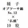 ҡ֥ġӡNo.12ߥ֥ġʩƬǡ10γ<img class='new_mark_img2' src='https://img.shop-pro.jp/img/new/icons1.gif' style='border:none;display:inline;margin:0px;padding:0px;width:auto;' />