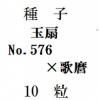 ҡNo.576߶Ʋǡ10γ<img class='new_mark_img2' src='https://img.shop-pro.jp/img/new/icons1.gif' style='border:none;display:inline;margin:0px;padding:0px;width:auto;' />