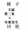 ҡưǡ߶(̳ڼ)10γ<img class='new_mark_img2' src='https://img.shop-pro.jp/img/new/icons1.gif' style='border:none;display:inline;margin:0px;padding:0px;width:auto;' />