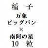 ҡݡƥӥåХǡݡ10γ<img class='new_mark_img2' src='https://img.shop-pro.jp/img/new/icons48.gif' style='border:none;display:inline;margin:0px;padding:0px;width:auto;' />