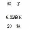 ҡG.ɿ̡20γ<img class='new_mark_img2' src='https://img.shop-pro.jp/img/new/icons1.gif' style='border:none;display:inline;margin:0px;padding:0px;width:auto;' />