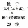 ҡ(ܡ)20γ<img class='new_mark_img2' src='https://img.shop-pro.jp/img/new/icons1.gif' style='border:none;display:inline;margin:0px;padding:0px;width:auto;' />