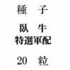 ҡ()20γ<img class='new_mark_img2' src='https://img.shop-pro.jp/img/new/icons1.gif' style='border:none;display:inline;margin:0px;padding:0px;width:auto;' />