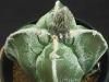 ȥ鵵ûͳ˱̡<img class='new_mark_img2' src='https://img.shop-pro.jp/img/new/icons5.gif' style='border:none;display:inline;margin:0px;padding:0px;width:auto;' />