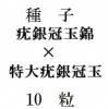 ҡ϶䴧̶  ϶䴧 10γ<img class='new_mark_img2' src='https://img.shop-pro.jp/img/new/icons1.gif' style='border:none;display:inline;margin:0px;padding:0px;width:auto;' />