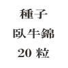 ҡӡ20γ