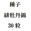ҡ체ðӡ30γ<img class='new_mark_img2' src='https://img.shop-pro.jp/img/new/icons57.gif' style='border:none;display:inline;margin:0px;padding:0px;width:auto;' />