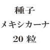 ҡᥭʡ20γ<img class='new_mark_img2' src='https://img.shop-pro.jp/img/new/icons48.gif' style='border:none;display:inline;margin:0px;padding:0px;width:auto;' />