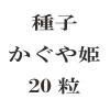 ҡɱ20γ<img class='new_mark_img2' src='https://img.shop-pro.jp/img/new/icons58.gif' style='border:none;display:inline;margin:0px;padding:0px;width:auto;' />