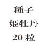 ҡɱð20γ<img class='new_mark_img2' src='https://img.shop-pro.jp/img/new/icons57.gif' style='border:none;display:inline;margin:0px;padding:0px;width:auto;' />