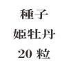 ҡɱð20γ<img class='new_mark_img2' src='https://img.shop-pro.jp/img/new/icons48.gif' style='border:none;display:inline;margin:0px;padding:0px;width:auto;' />