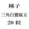 ҡ˱̡20γ<img class='new_mark_img2' src='https://img.shop-pro.jp/img/new/icons57.gif' style='border:none;display:inline;margin:0px;padding:0px;width:auto;' />