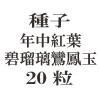 ҡǯ˱̡20γ<img class='new_mark_img2' src='https://img.shop-pro.jp/img/new/icons48.gif' style='border:none;display:inline;margin:0px;padding:0px;width:auto;' />