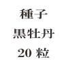 ҡð20γ<img class='new_mark_img2' src='https://img.shop-pro.jp/img/new/icons48.gif' style='border:none;display:inline;margin:0px;padding:0px;width:auto;' />