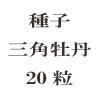ҡѲð20γ<img class='new_mark_img2' src='https://img.shop-pro.jp/img/new/icons48.gif' style='border:none;display:inline;margin:0px;padding:0px;width:auto;' />