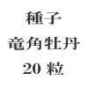 ҡεѲð20γ<img class='new_mark_img2' src='https://img.shop-pro.jp/img/new/icons48.gif' style='border:none;display:inline;margin:0px;padding:0px;width:auto;' />
