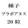 ҡ֥ܥ̥20γ<img class='new_mark_img2' src='https://img.shop-pro.jp/img/new/icons48.gif' style='border:none;display:inline;margin:0px;padding:0px;width:auto;' />