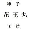 ҡֲݡ10γ<img class='new_mark_img2' src='https://img.shop-pro.jp/img/new/icons48.gif' style='border:none;display:inline;margin:0px;padding:0px;width:auto;' />