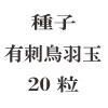ҡͭĻ̡20γ<img class='new_mark_img2' src='https://img.shop-pro.jp/img/new/icons48.gif' style='border:none;display:inline;margin:0px;padding:0px;width:auto;' />