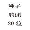 ҡɿƬ20γ<img class='new_mark_img2' src='https://img.shop-pro.jp/img/new/icons58.gif' style='border:none;display:inline;margin:0px;padding:0px;width:auto;' />