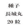 ҡĹݡ20γ<img class='new_mark_img2' src='https://img.shop-pro.jp/img/new/icons57.gif' style='border:none;display:inline;margin:0px;padding:0px;width:auto;' />