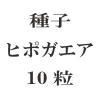 ҡҥݥ10γ<img class='new_mark_img2' src='https://img.shop-pro.jp/img/new/icons58.gif' style='border:none;display:inline;margin:0px;padding:0px;width:auto;' />