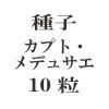 ҡץȡǥ奵10γ<img class='new_mark_img2' src='https://img.shop-pro.jp/img/new/icons57.gif' style='border:none;display:inline;margin:0px;padding:0px;width:auto;' />