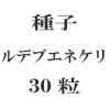 ҡǥ֥ͥꡡ30γ<img class='new_mark_img2' src='https://img.shop-pro.jp/img/new/icons58.gif' style='border:none;display:inline;margin:0px;padding:0px;width:auto;' />