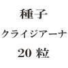ҡ饤ʡ20γ<img class='new_mark_img2' src='https://img.shop-pro.jp/img/new/icons48.gif' style='border:none;display:inline;margin:0px;padding:0px;width:auto;' />