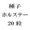 ҡۥ륹ơ20γ<img class='new_mark_img2' src='https://img.shop-pro.jp/img/new/icons48.gif' style='border:none;display:inline;margin:0px;padding:0px;width:auto;' />