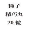 ҡݡ20γ<img class='new_mark_img2' src='https://img.shop-pro.jp/img/new/icons48.gif' style='border:none;display:inline;margin:0px;padding:0px;width:auto;' />
