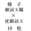 ҡ䴧̶ӡ϶䴧̡10γ<img class='new_mark_img2' src='https://img.shop-pro.jp/img/new/icons57.gif' style='border:none;display:inline;margin:0px;padding:0px;width:auto;' />