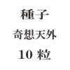ҡŷ10γ<img class='new_mark_img2' src='https://img.shop-pro.jp/img/new/icons48.gif' style='border:none;display:inline;margin:0px;padding:0px;width:auto;' />
