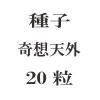 ҡŷ20γ<img class='new_mark_img2' src='https://img.shop-pro.jp/img/new/icons48.gif' style='border:none;display:inline;margin:0px;padding:0px;width:auto;' />