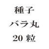 ҡХݡ20γ<img class='new_mark_img2' src='https://img.shop-pro.jp/img/new/icons58.gif' style='border:none;display:inline;margin:0px;padding:0px;width:auto;' />