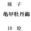 ҡòðӡ10γ<img class='new_mark_img2' src='https://img.shop-pro.jp/img/new/icons57.gif' style='border:none;display:inline;margin:0px;padding:0px;width:auto;' />