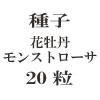ҡֲð󥹥ȥ20γ<img class='new_mark_img2' src='https://img.shop-pro.jp/img/new/icons48.gif' style='border:none;display:inline;margin:0px;padding:0px;width:auto;' />