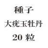 ҡ϶̲ð20γ<img class='new_mark_img2' src='https://img.shop-pro.jp/img/new/icons55.gif' style='border:none;display:inline;margin:0px;padding:0px;width:auto;' />