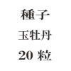 ҡ̲ð20γ<img class='new_mark_img2' src='https://img.shop-pro.jp/img/new/icons48.gif' style='border:none;display:inline;margin:0px;padding:0px;width:auto;' />