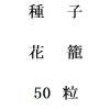 ҡơ50γ<img class='new_mark_img2' src='https://img.shop-pro.jp/img/new/icons58.gif' style='border:none;display:inline;margin:0px;padding:0px;width:auto;' />