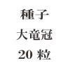 ҡε20γ<img class='new_mark_img2' src='https://img.shop-pro.jp/img/new/icons48.gif' style='border:none;display:inline;margin:0px;padding:0px;width:auto;' />