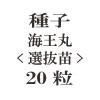 ҡ<ȴ>20γ<img class='new_mark_img2' src='https://img.shop-pro.jp/img/new/icons57.gif' style='border:none;display:inline;margin:0px;padding:0px;width:auto;' />