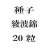 ҡȶӡ20γ<img class='new_mark_img2' src='https://img.shop-pro.jp/img/new/icons48.gif' style='border:none;display:inline;margin:0px;padding:0px;width:auto;' />