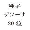 ҡǥա20γ<img class='new_mark_img2' src='https://img.shop-pro.jp/img/new/icons57.gif' style='border:none;display:inline;margin:0px;padding:0px;width:auto;' />
