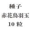 ҡֲĻ̡10γ<img class='new_mark_img2' src='https://img.shop-pro.jp/img/new/icons48.gif' style='border:none;display:inline;margin:0px;padding:0px;width:auto;' />