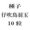 ҡƿĻ̡10γ<img class='new_mark_img2' src='https://img.shop-pro.jp/img/new/icons58.gif' style='border:none;display:inline;margin:0px;padding:0px;width:auto;' />