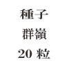 ҡ桡20γ<img class='new_mark_img2' src='https://img.shop-pro.jp/img/new/icons48.gif' style='border:none;display:inline;margin:0px;padding:0px;width:auto;' />